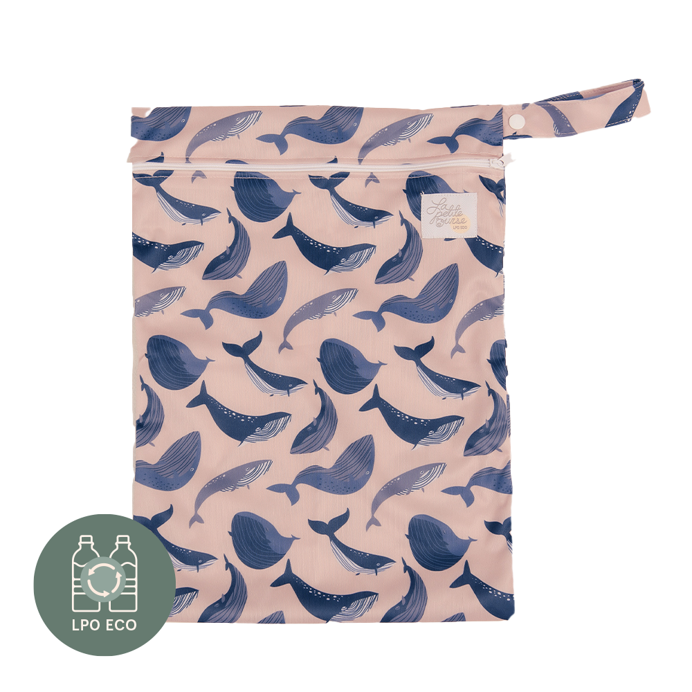 Baleine Baleine