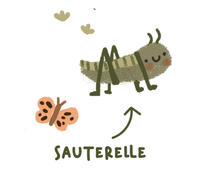 Collection Verte - Sauterelle