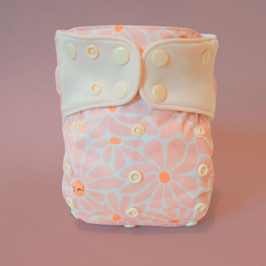 Évolution | Couche à poche