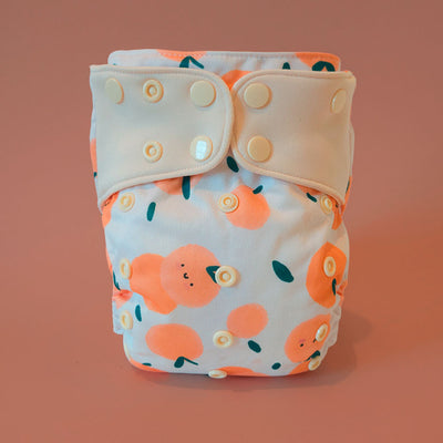 Évolution | Couche à poche