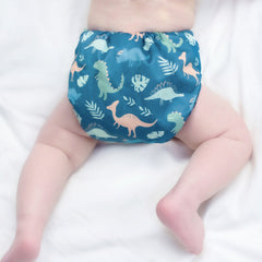 Fruity - 4 pocket diapers, 1 wetbag