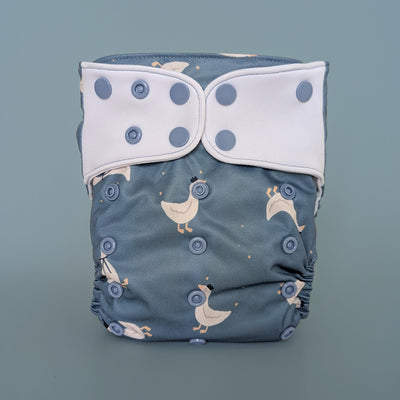 Évolution | Couche à poche