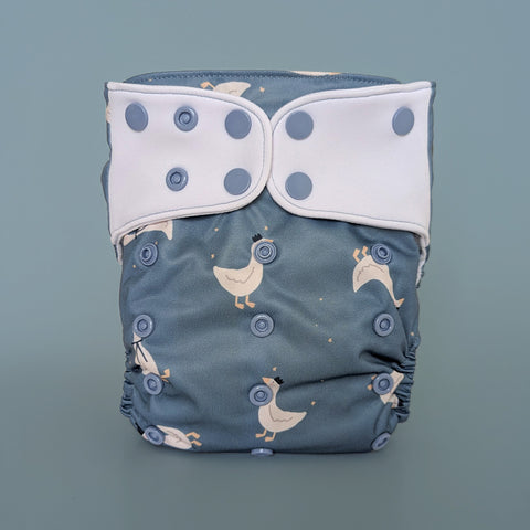 Évolution | Couche à poche